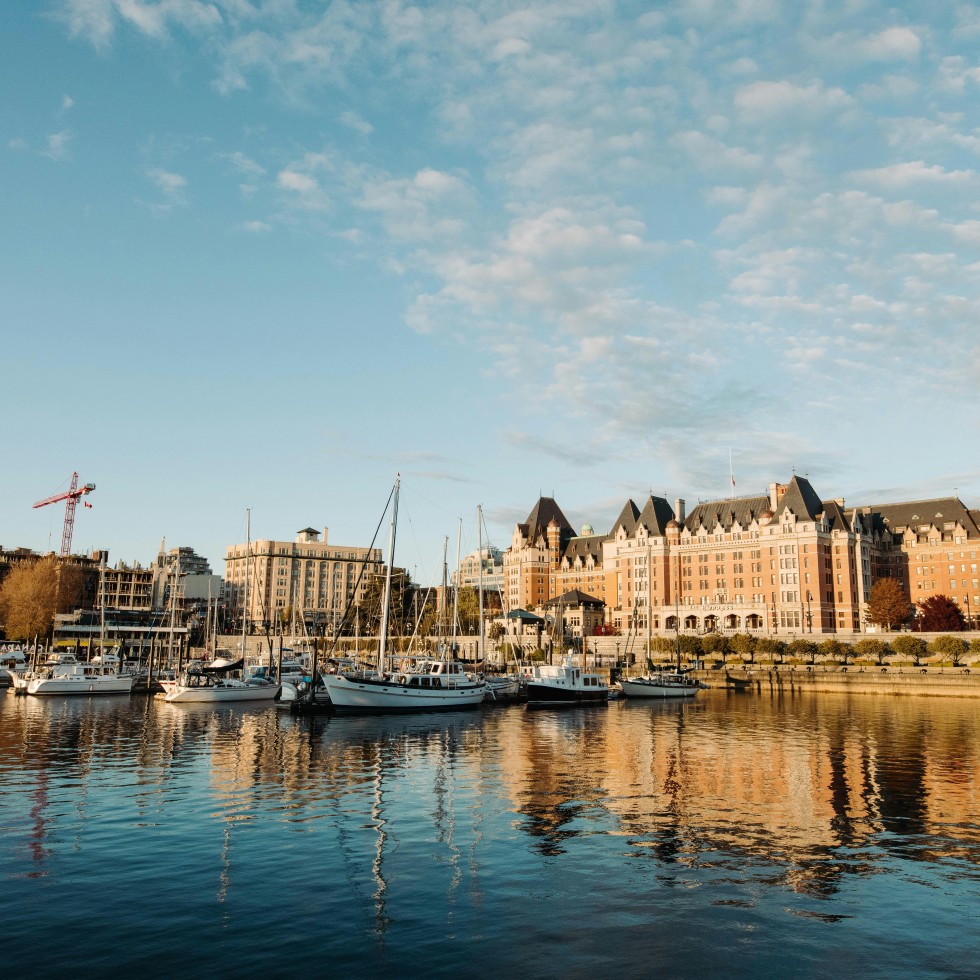 armon arani Zu4L4ERl sw unsplash